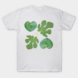 Wild Ginger and Fig Leaves T-Shirt